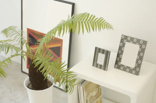 経営サポート情報